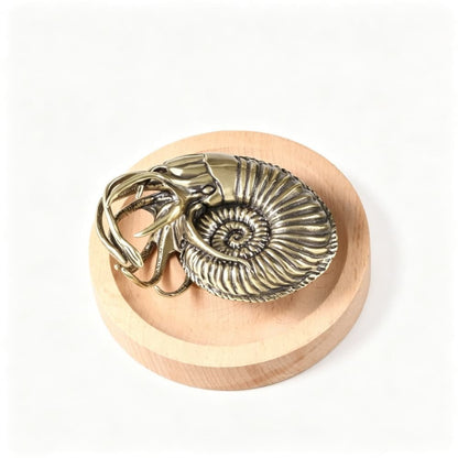Antique Brass Nautilus Ammonite Fossil Ornament Handheld Collectible Decor