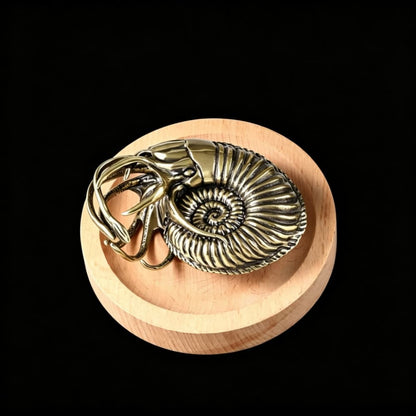 Antique Brass Nautilus Ammonite Fossil Ornament Handheld Collectible Decor